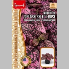 Гипоэстес Splash Select Rose (большой пакет)