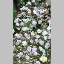 Гипсофила Акулина (тихоокеанская)