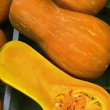 Тыква Гитара