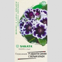 Глоксиния Аванти Синяя с белым краем F1
