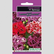 Глоксиния Брокада F1