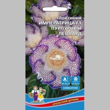 Глоксиния Императрица Пурпурный Леопард F1