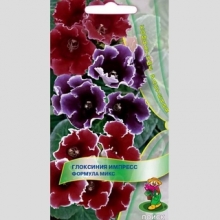 Глоксиния Импресс Формула микс