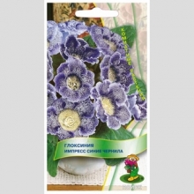 Глоксиния Импресс Синие чернила