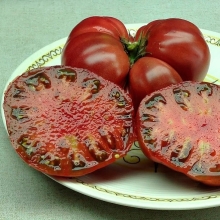 Томат Гном БрендиФред