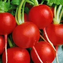 Редис Гонконг