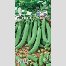 Горох Глориоза