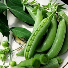 Горох Чудо Кельведона