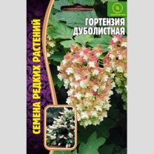 Гортензия Дуболистная (большой пакет)