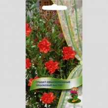 Гранат Оранжевый мастер