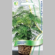 Гревиллея робуста