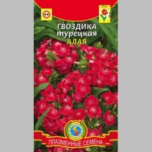 Гвоздика Алая (турецкая)