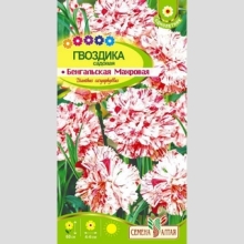 Гвоздика Бенгальская (cадовая)