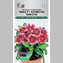 Гвоздика Чиба F1 Кримсон Пикоти (межвидовая)