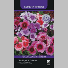 Гвоздика Диана Пикоти Микс