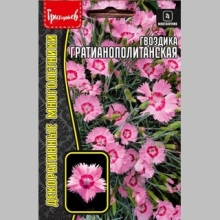 Гвоздика Гратианополитанская (большой пакет)
