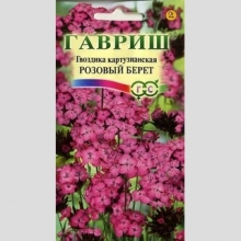 Гвоздика Розовый берет (картузианская)