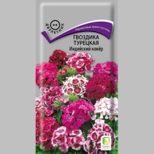 Гвоздика Индийский ковёр турецкая