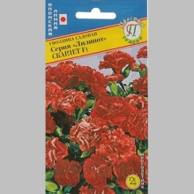 Гвоздика Лилипот Скарлет F1 (садовая)