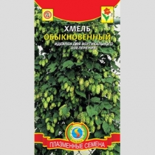 Хмель обыкновенный