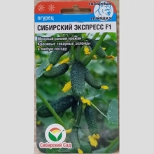 Огурец Сибирский экспресс F1