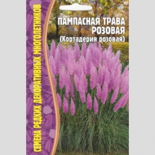 Пампасная трава Розовая (большой пакет)