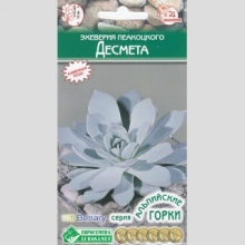 Эхеверия Пеацкого Десмета