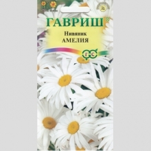 Нивяник Амелия