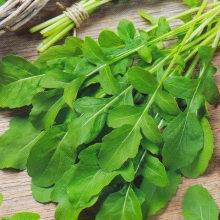 Руккола Ореховая