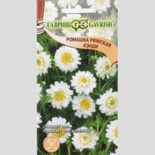Пупавник Кэнди (римская ромашка)