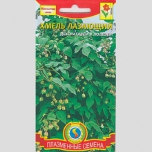 Хмель лазающий