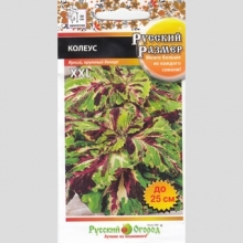 Колеус Русский размер