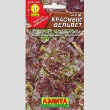 Салат Красный вельвет (листовой)