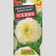 Бархатцы Эскимо