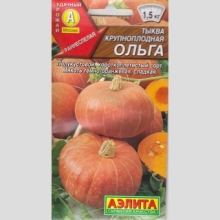 Тыква Ольга