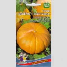 Тыква Веселая Толстушка