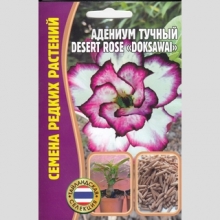 Адениум Doksawai (тучный) (большой пакет)