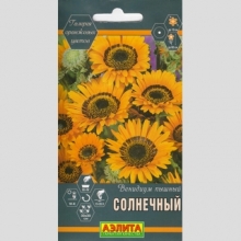 Венидиум Солнечный