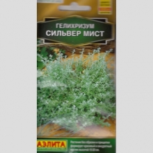Гелихризум Сильвер мист