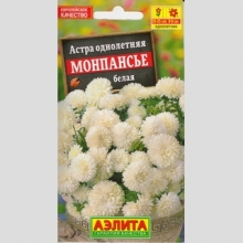 Астра Монпансье белая