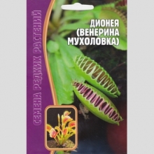 Дионея Венерина Мухоловка (большой пакет)