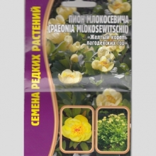 Пион Млокосевича (большой пакет)