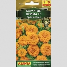 Бархатцы Прима F1 Оранжевые