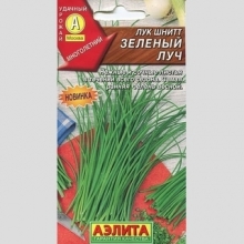 Лук Зеленый луч (шнитт)