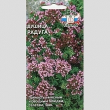 Душица Радуга