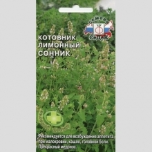 Котовник Сонник (лимонный)