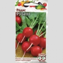 Редис Рубин