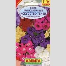 Флокс Искусство теней крупноцветковый