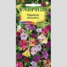 Мирабилис Иоланта