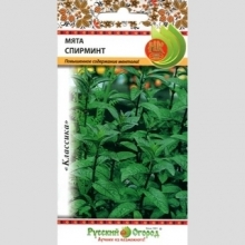 Мята Спирминт